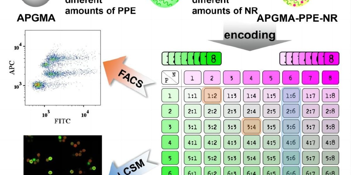 CD Bioparticles Simplifies Multi-Analyte Detection with Advanced Multiplex Particles