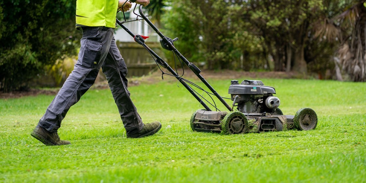 Essential Lawn Care Tips for New Zealand Homeowners