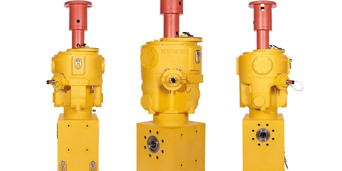 "Subsea Choke Valves Market Size and Share 2024: A Comprehensive Guide for Investors"