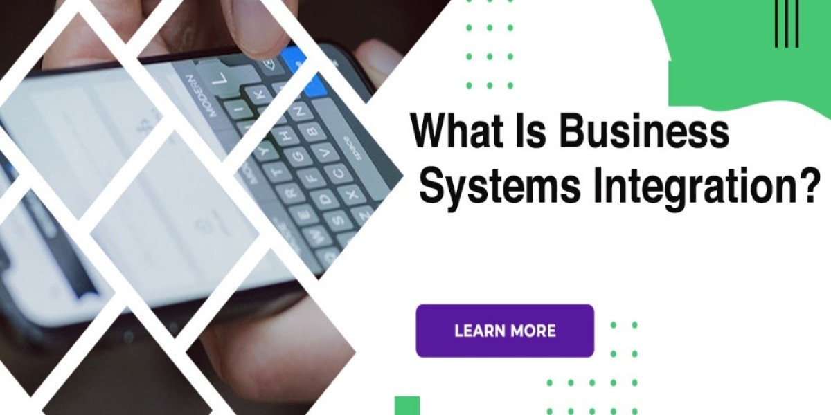 What Is Business Systems Integration?