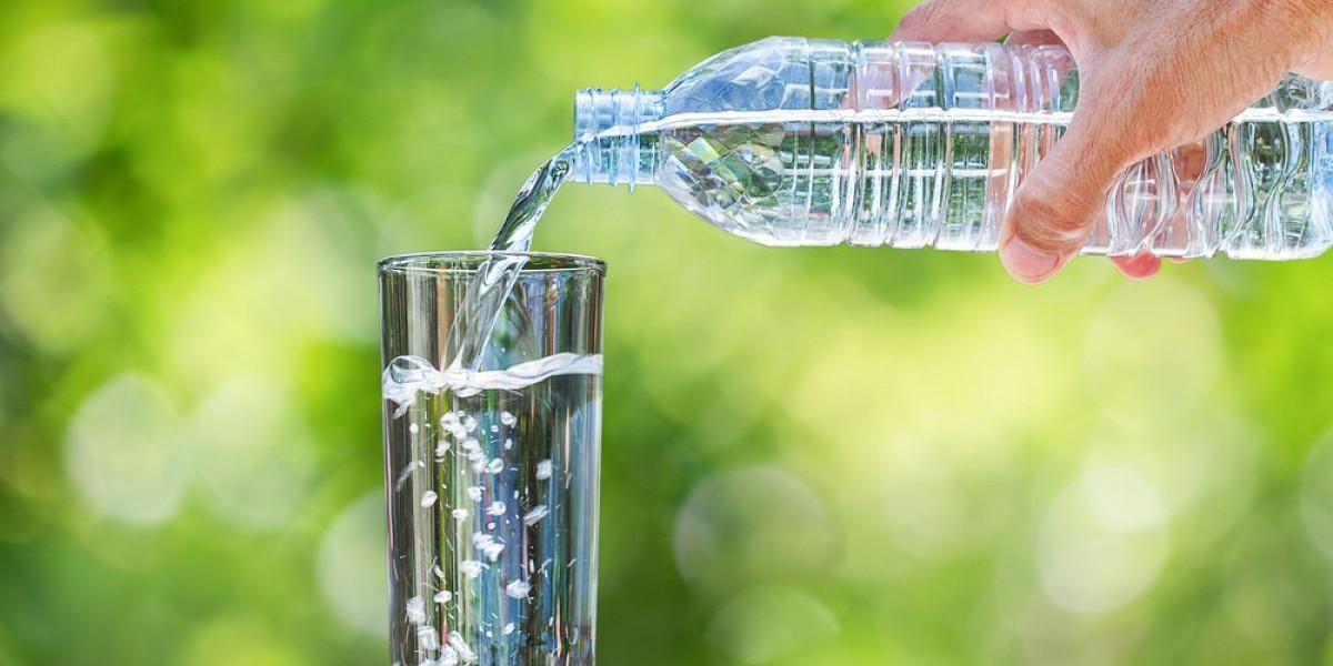 Bottled Water Market: Key Challenges in Sustainability and Market Dynamics