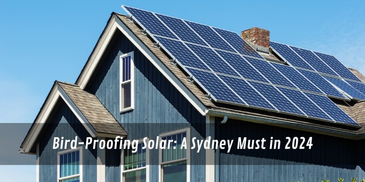 Bird-Proofing Solar: A Sydney Must in 2024