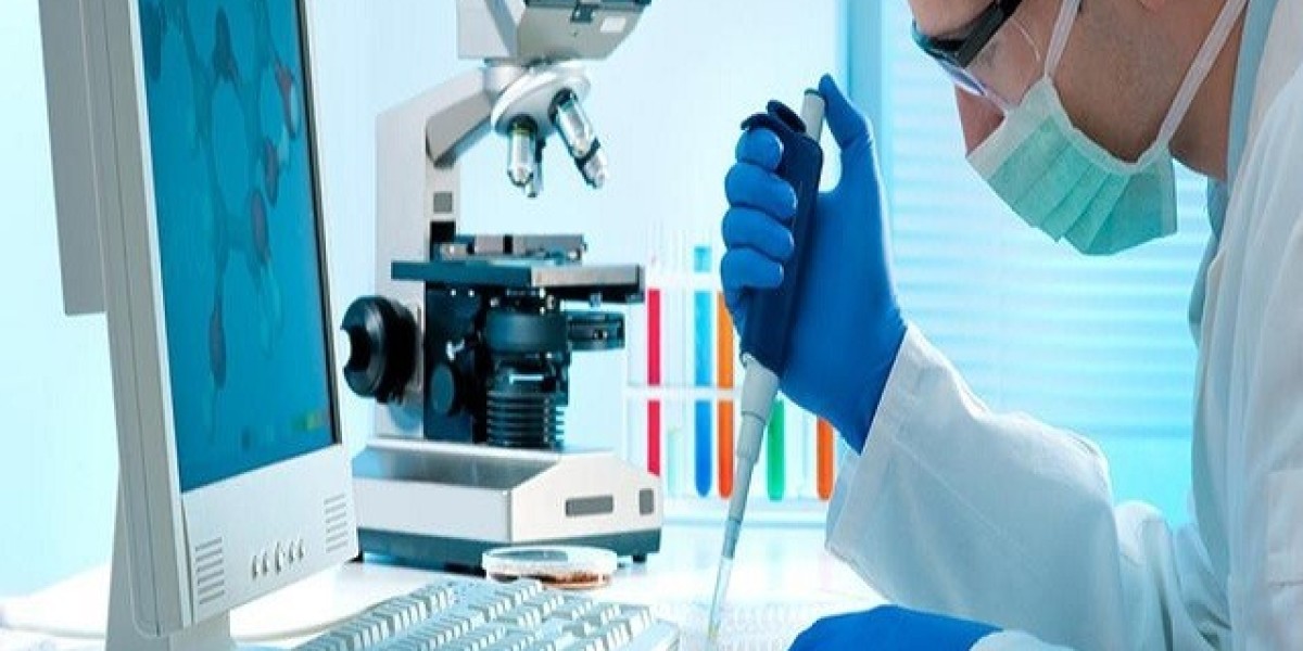 Europe Laboratory Informatics Market Growth, Share, Size, Trends, Outlook, Segments | 2024 - 2032