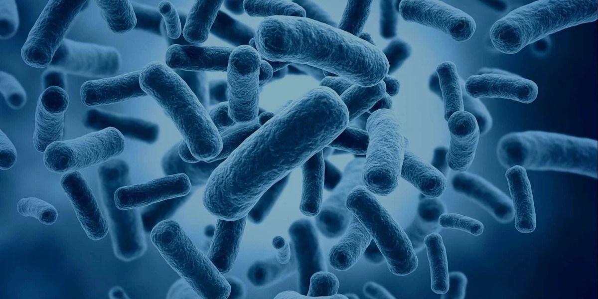 Animal Probiotics Market: Examining the Role of Microorganisms in Enhancing Animal Digestion and Immunity