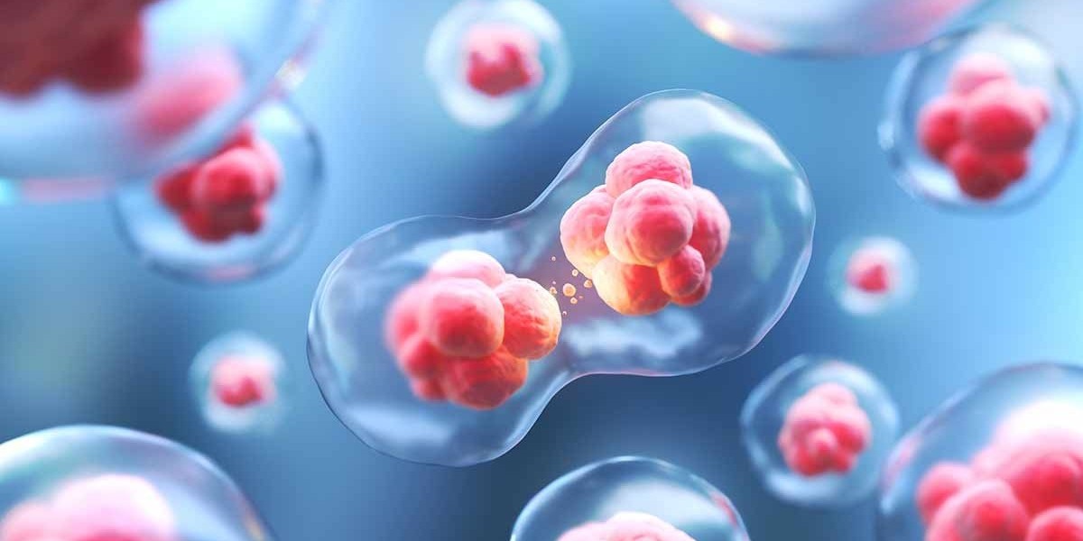 Autologous Cell Therapy Market: The Rising Opportunities in Personalized Healthcare