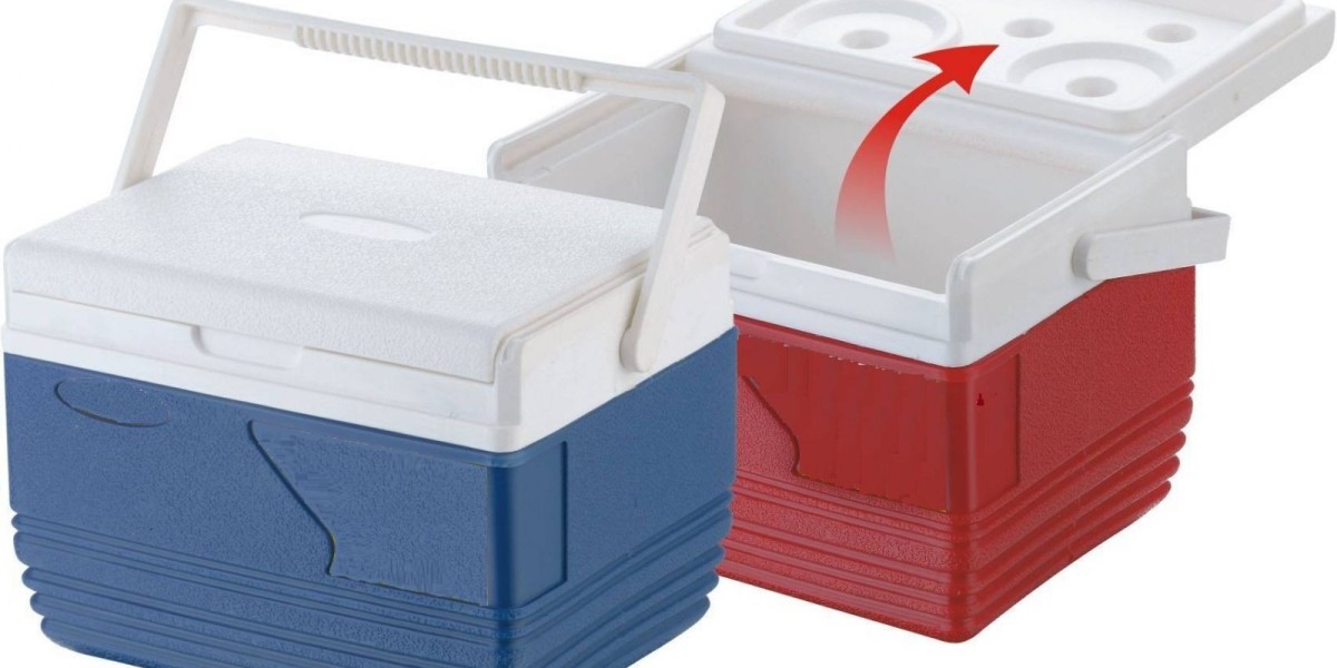 Ice Boxes Market: The Evolution of Ice Box Designs to Meet Consumer Needs