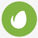 nngame asv Profile Picture