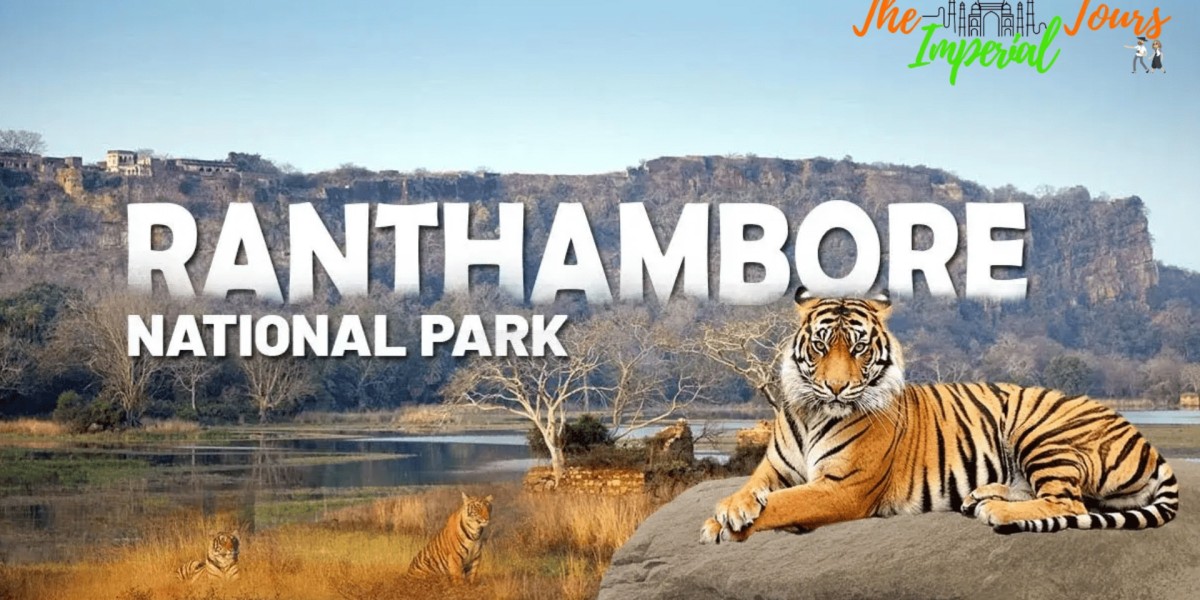 Ranthambore Tour From Jaipur: A Perfect Getaway into Nature and History