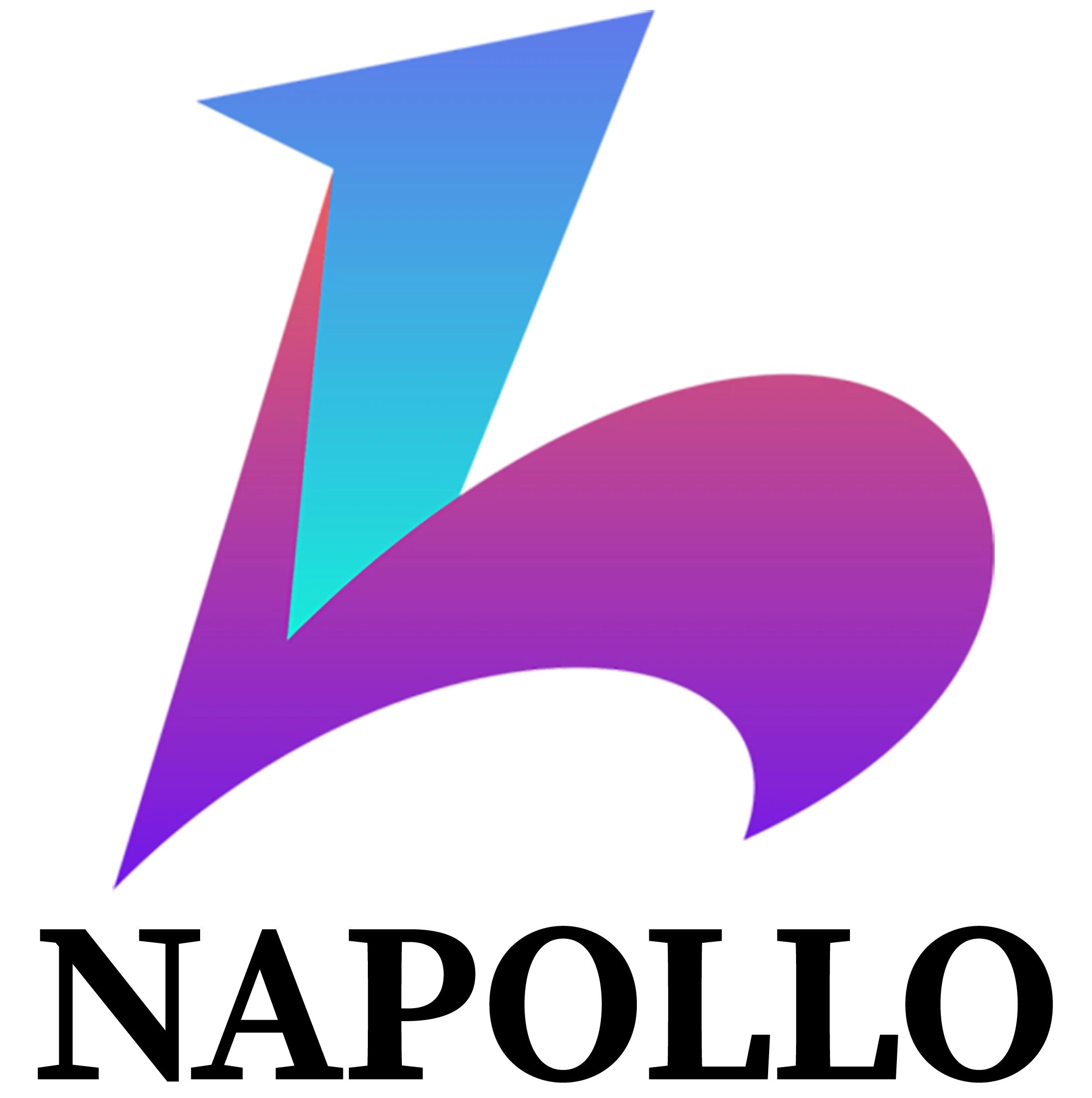 NapolloSoftware