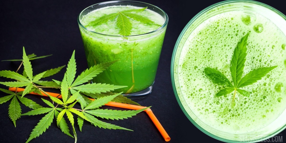 CBD Beverages Market: The Rising Popularity of CBD-Infused Drinks