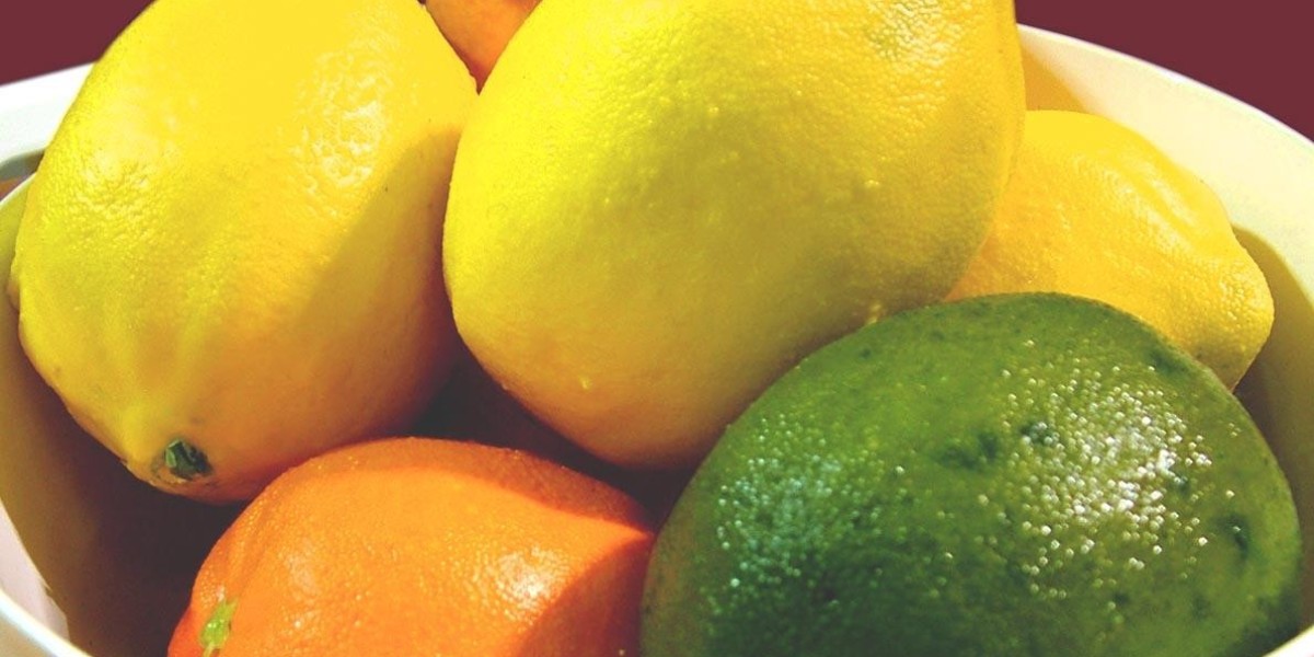 Citrus Fiber Market Growth: Recent Developments and New Opportunities