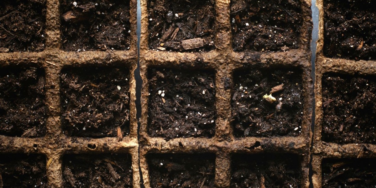 The Role of Natural Seeds in Healthy Soil Microbial Activity