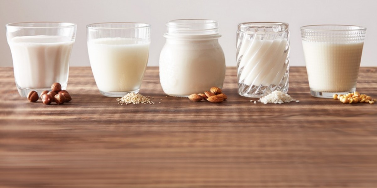 Dairy Concentrates Market: Innovations and Trends