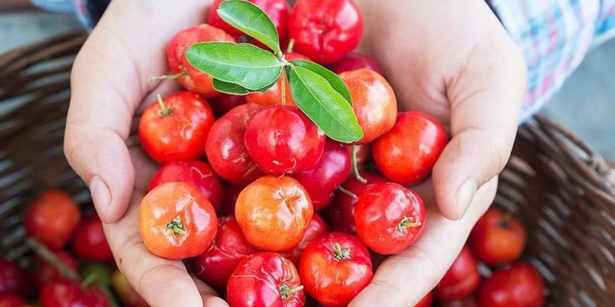 Acerola Extract Market Intelligence: Analyzing Key Market Movements