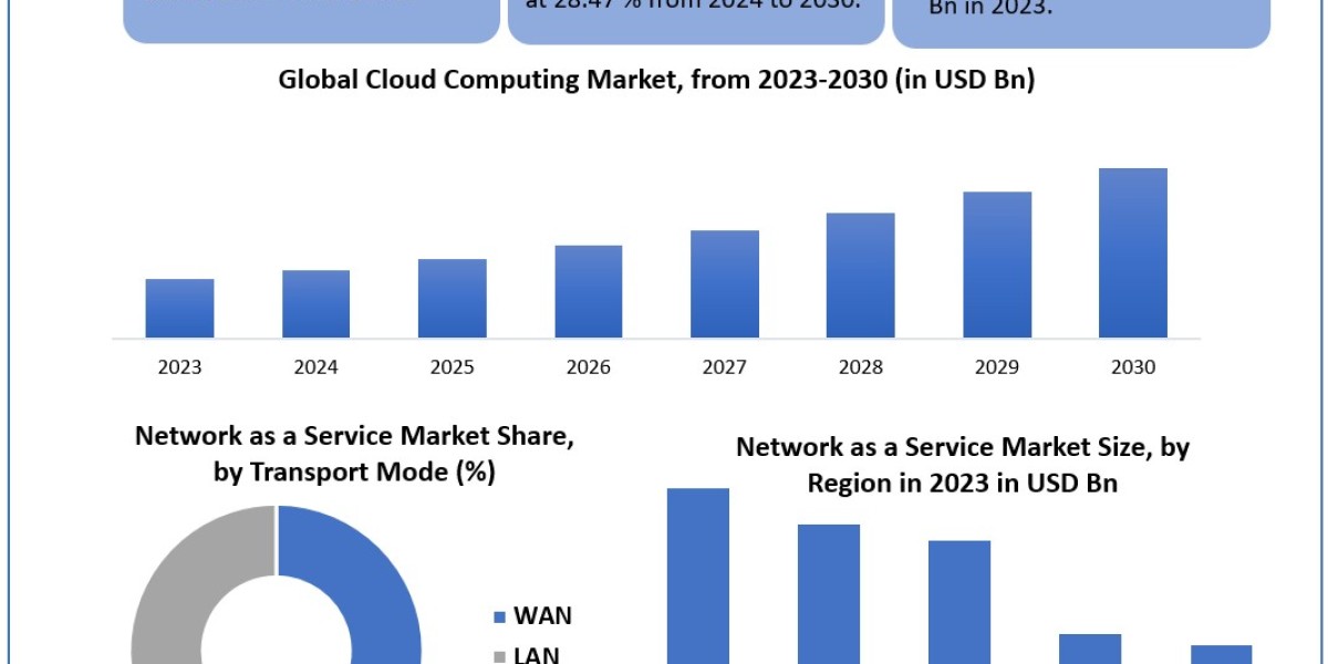 Network as a Service Market Product Type Coal Gasification with Carbon Capture Storage 2030