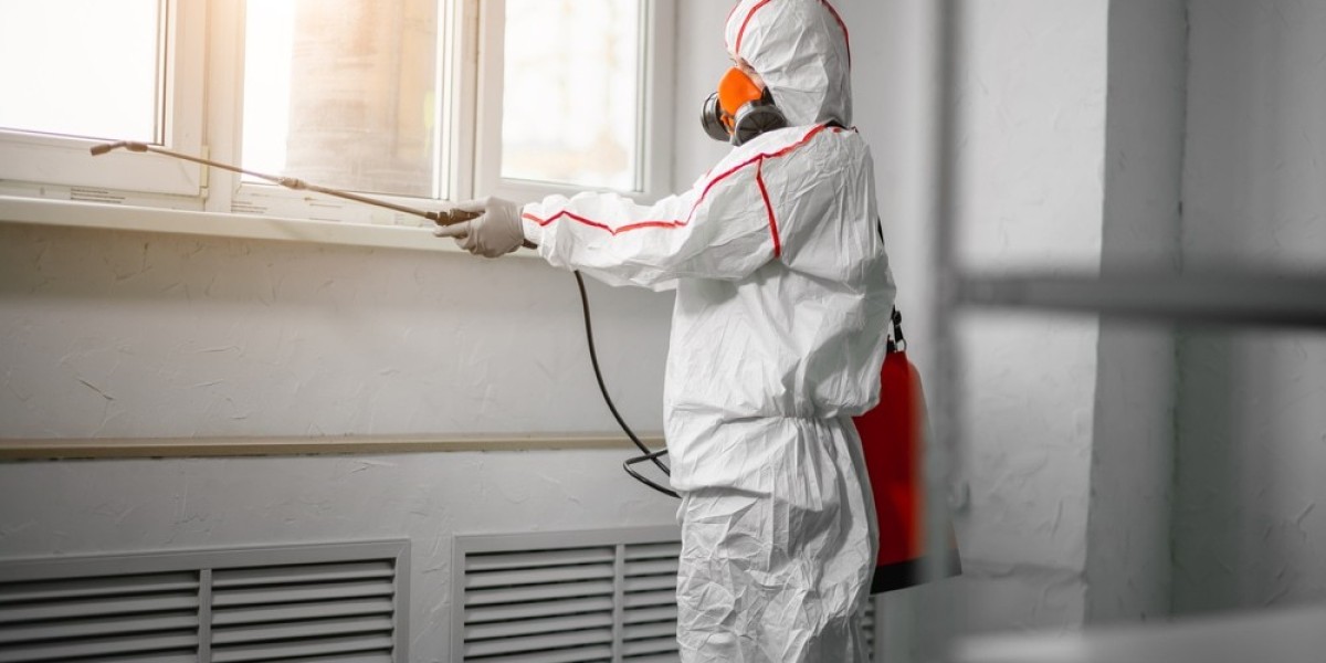 How Ottawa’s Mold Removal Services Are Adapting to New Technologies