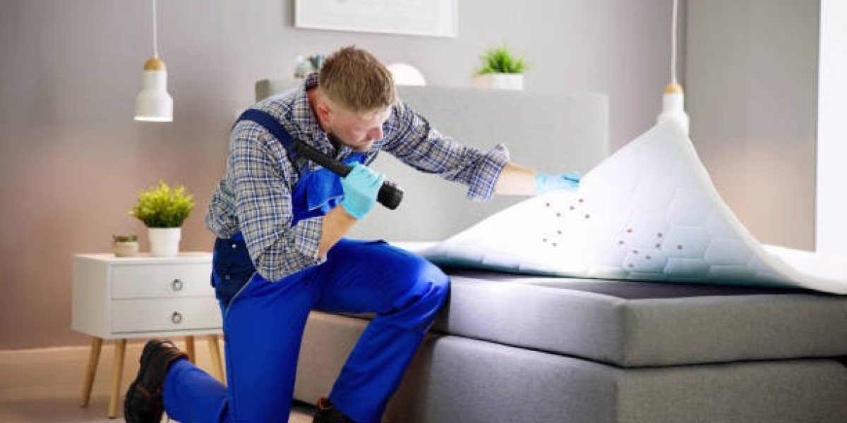 Shield Your Property: Expert Pest Control in Sharjah & Termite Solutions in Ajman