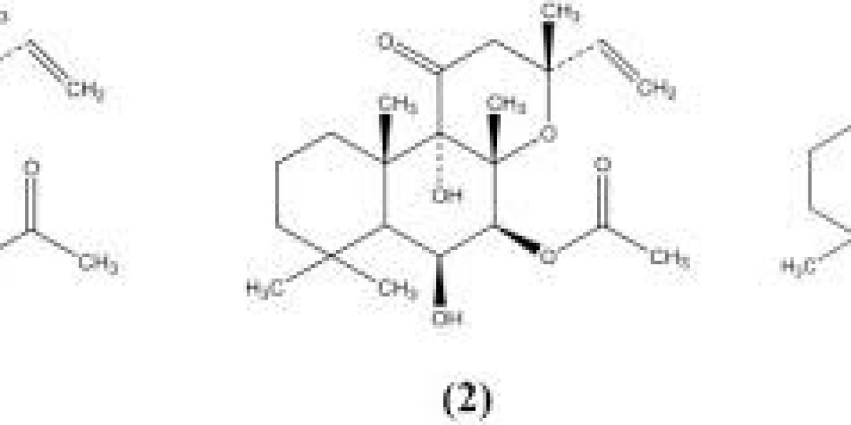 Forskolin Market Opportunities: How Brands Can Leverage the Growing Demand and Expand Market Presence Globally