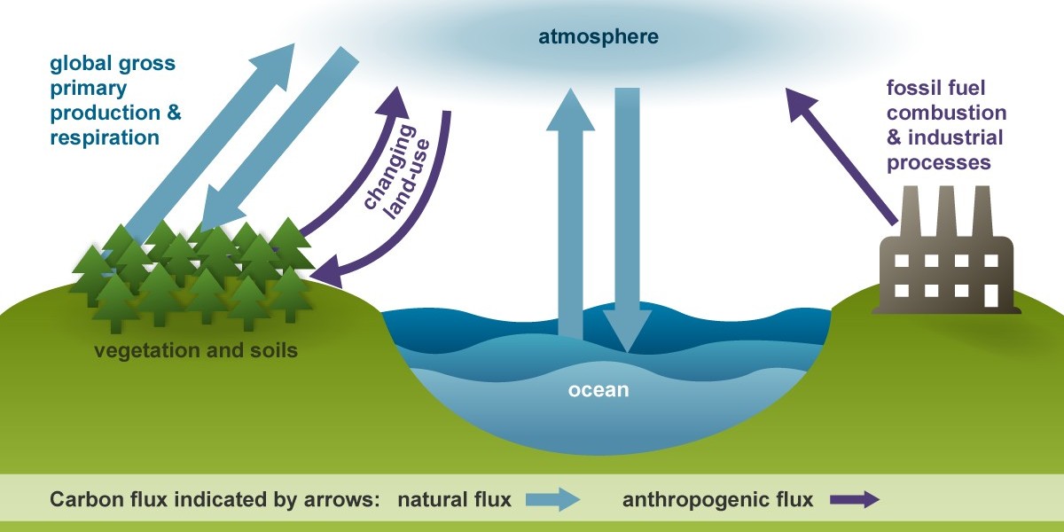 The Impact of Carbon Dioxide on Climate Change and Global Warming