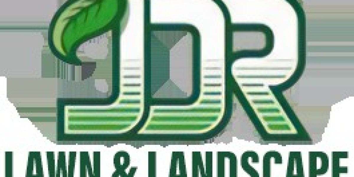 Find the Best Landscaping Companies Near Me for Top Results