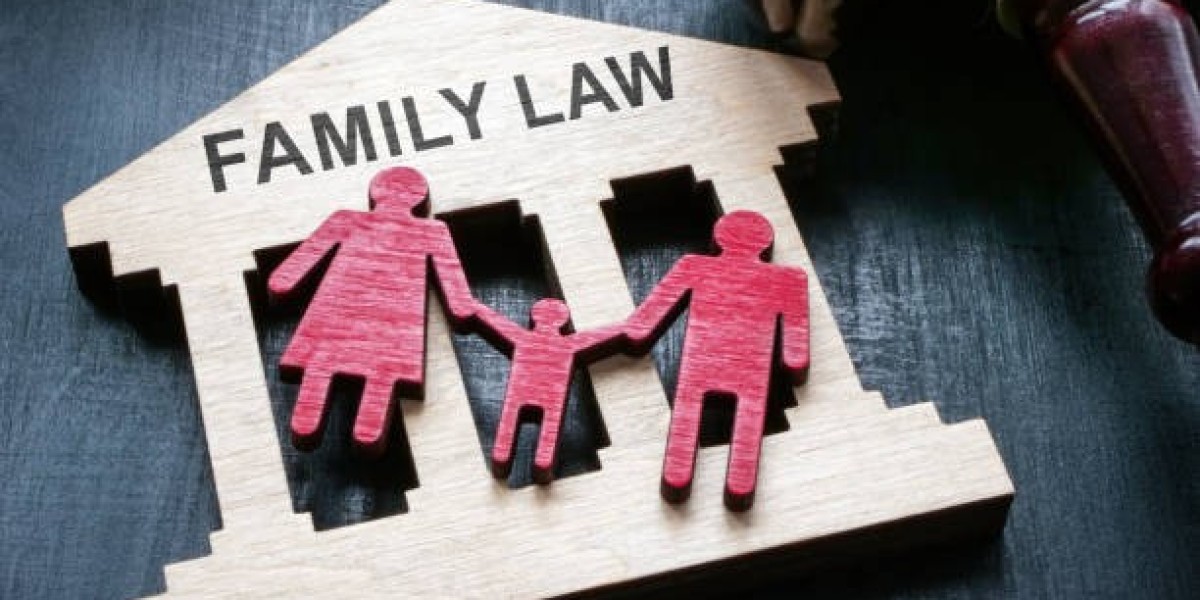 Best Family Court Lawyers in Chennai for Child Custody Cases