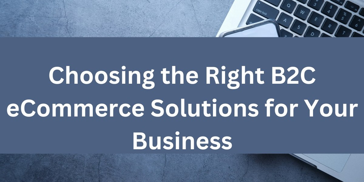 Choosing the Right B2C eCommerce Solutions for Your Business