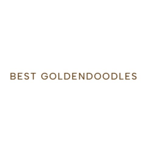 Best Goldendoodles