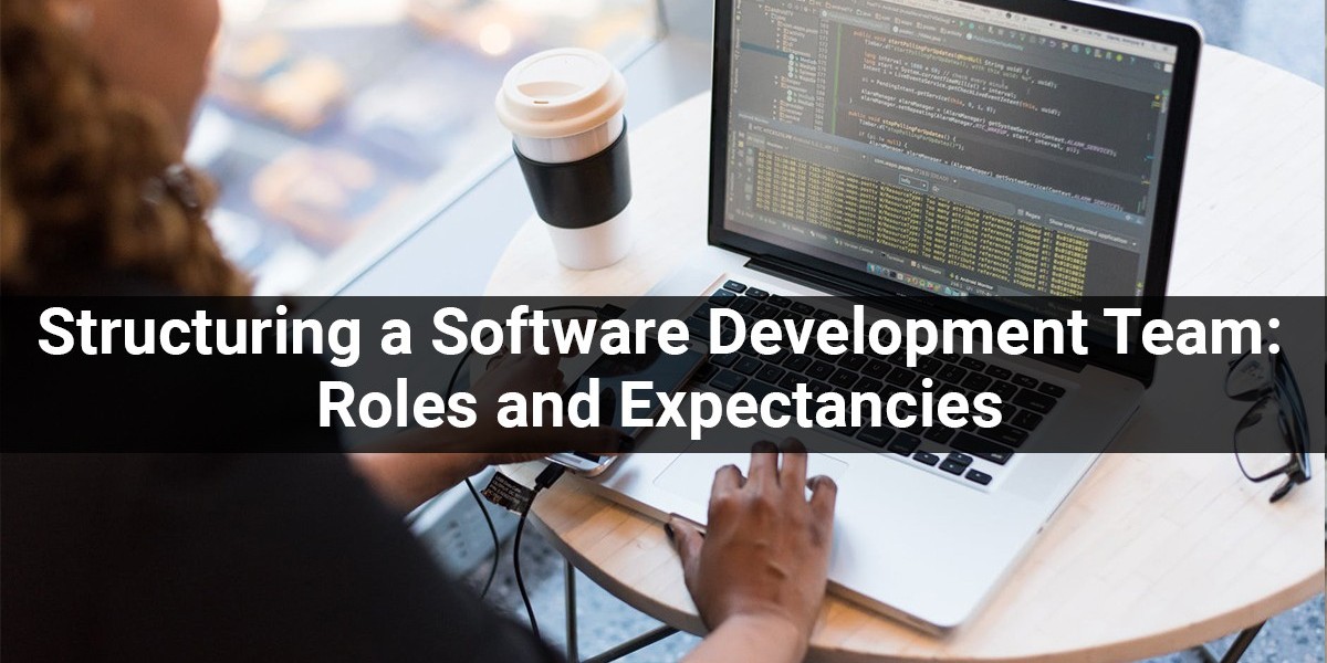 Structuring a Software Development Team: Roles and Expectations