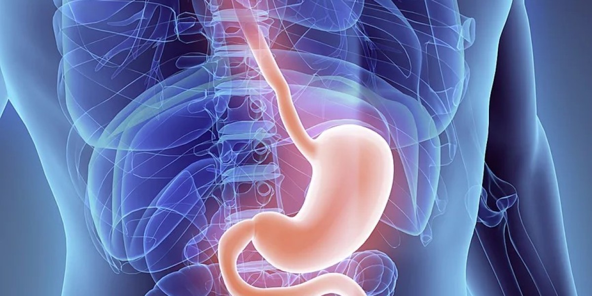 Diabetic Gastroparesis Treatment Market: Current Trends and Emerging Solutions