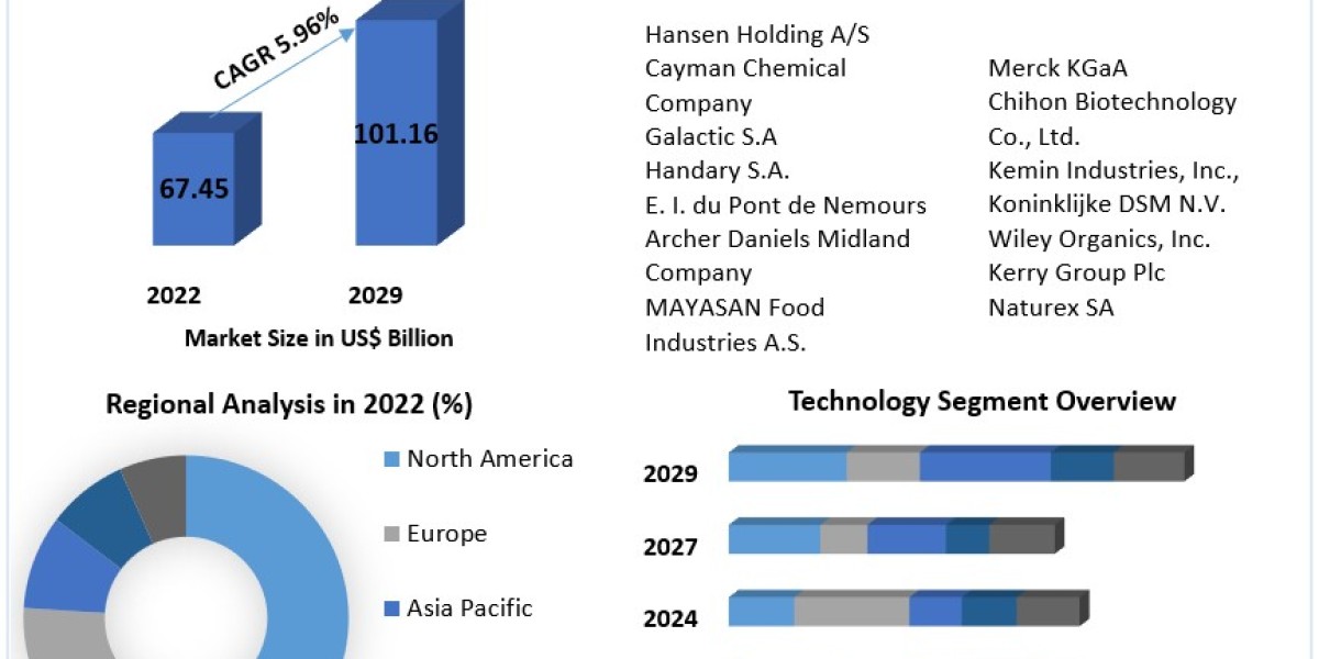 Dehydrated Vegetable Market – Global Industry Analysis and Forecast (2023-2029)