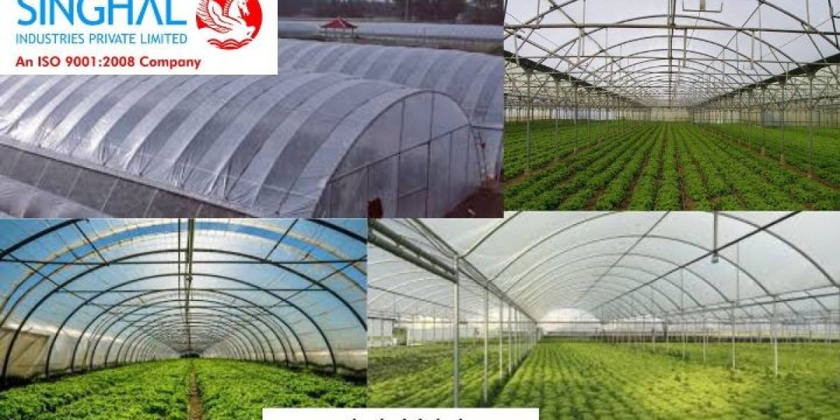 Greenhouse Film: A Game Changer for Modern Agriculture