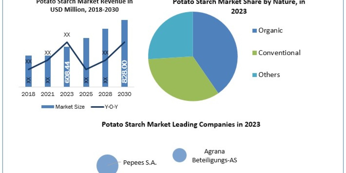 Potato Starch Market Strategies of for New Companies with Fastest Growing Regions with new Opportunities 2030