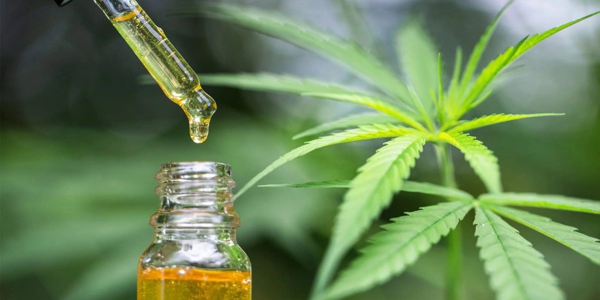 CBD Vapes Market: Navigating Growth in a Rapidly Expanding Industry