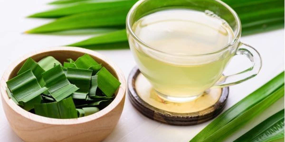 Brewing Success: Trends and Growth Opportunities in the Pandan Tea Market