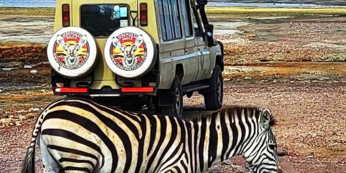 Discover the Best Tanzania Safari Companies and Private Tour Operators