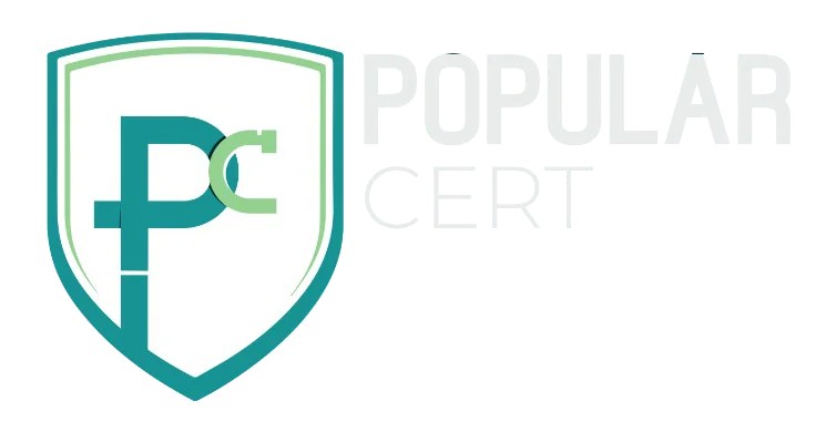ISO Consultant