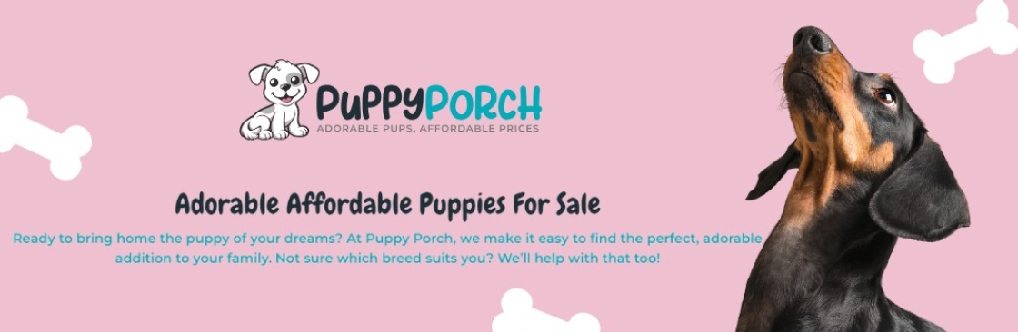 Puppy Porch