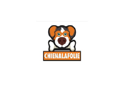 CHIENALAFOLIE