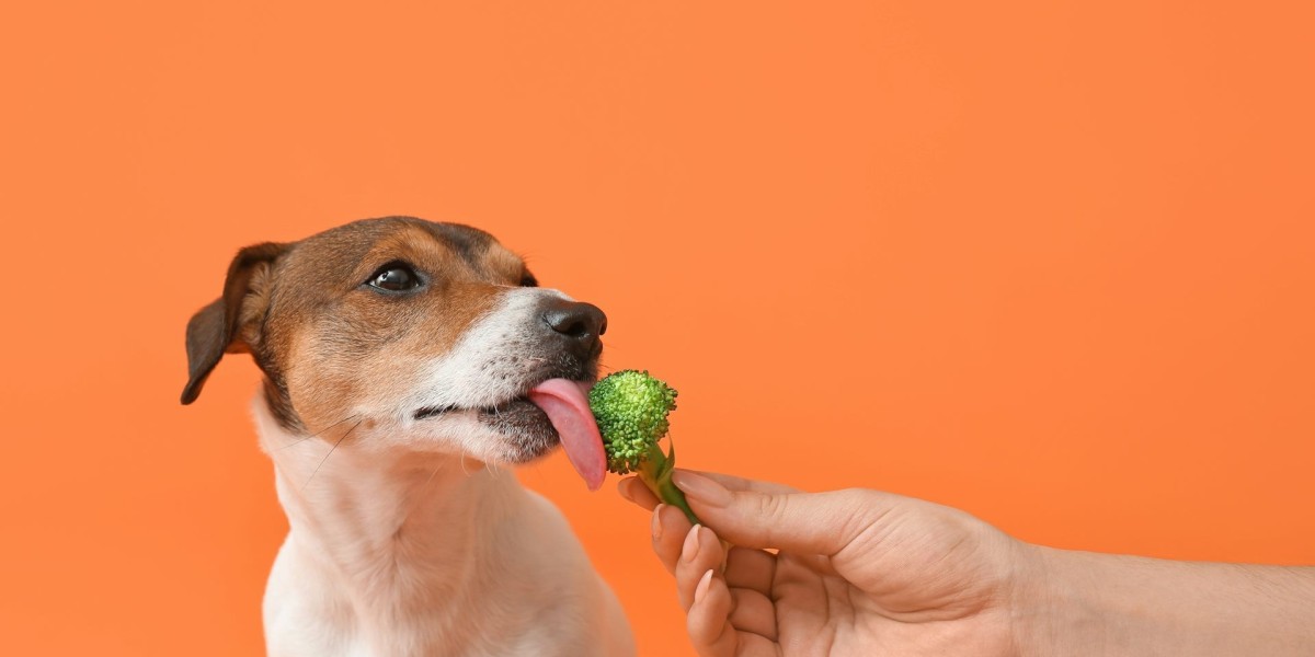 Vegan Dog Food Market: Unlocking New Opportunities in the Pet Food Industry