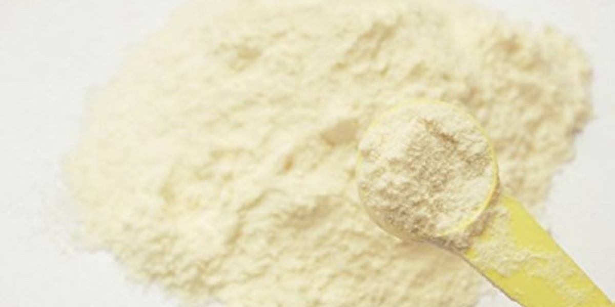 Goat Milk Powders Market Regional Analysis of Supply Chain, Distribution Networks, and Key Growth Areas Shaping the Futu