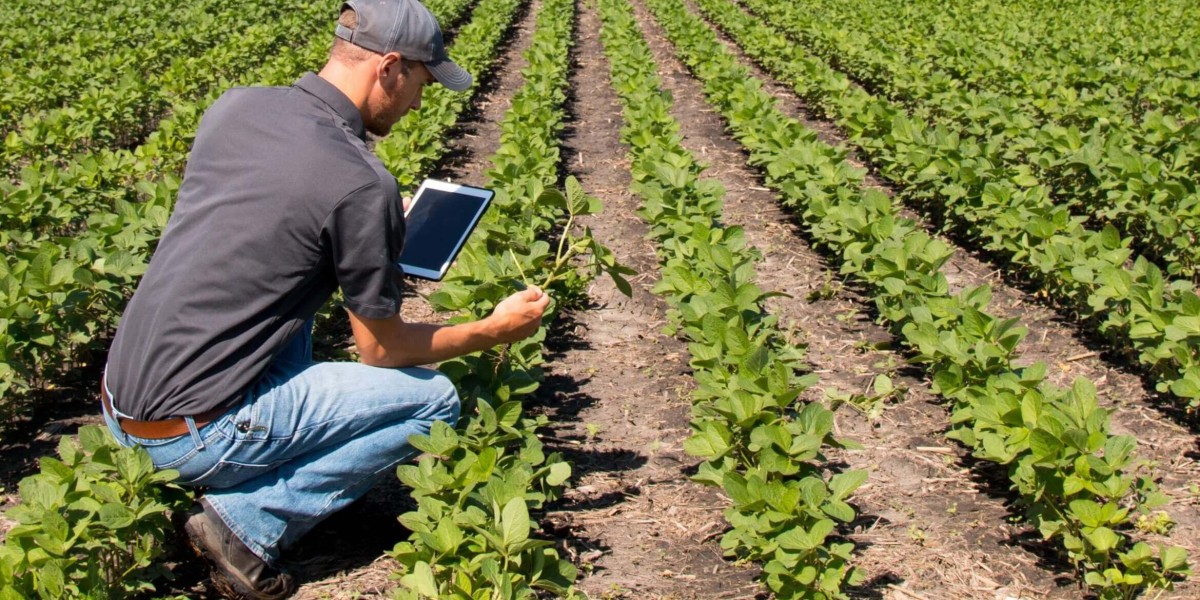 Smart Agriculture Market: Trends, Growth Opportunities, and Future Outlook