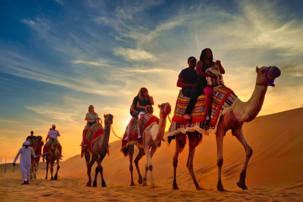 uaedesert safari