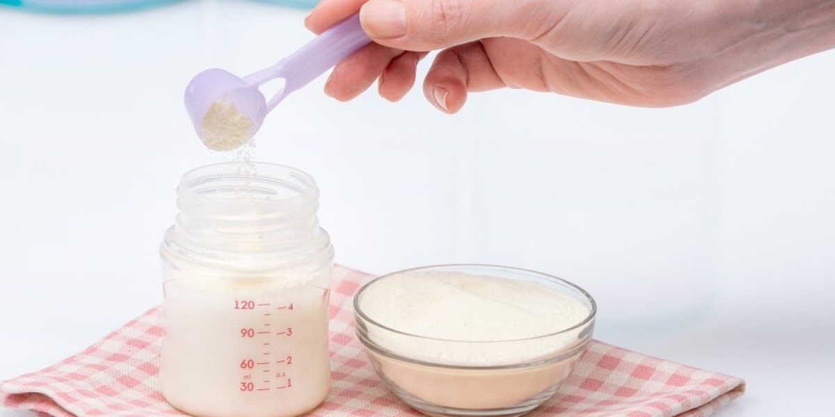 Singapore Infant Formula Market: Growth Trends and Future Outlook