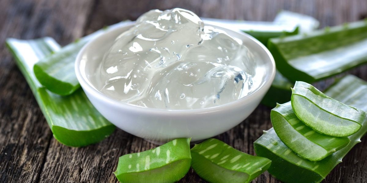 Aloe Vera Extracts Market Strategies for Competitive Advantage