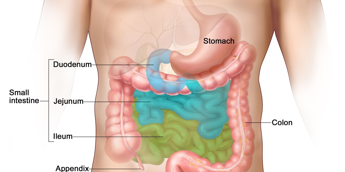 Gastric Neuroendocrine Tumors Drug Pipeline Analysis