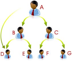 Mlm Software