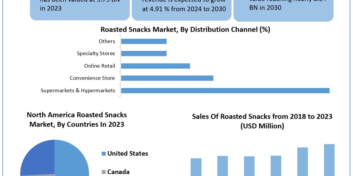 Roasted Snacks Market CAGR Value, Developments, Sales Revenue, and Leading Countries In-depth Analysis 2030