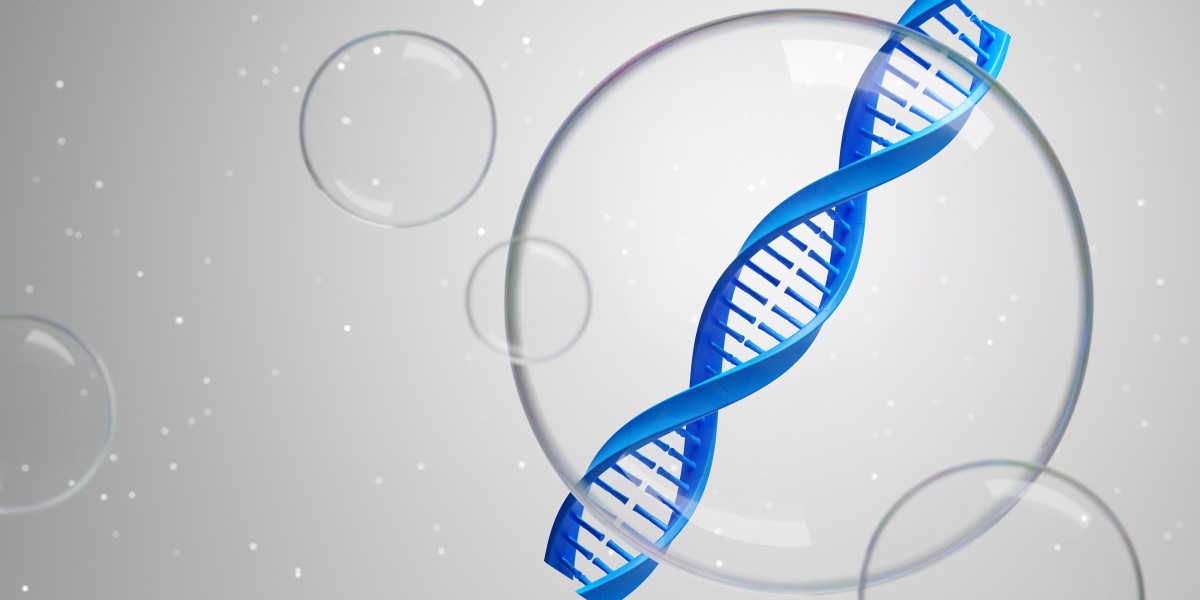 Best Phase To Study Shape Of Chromosome