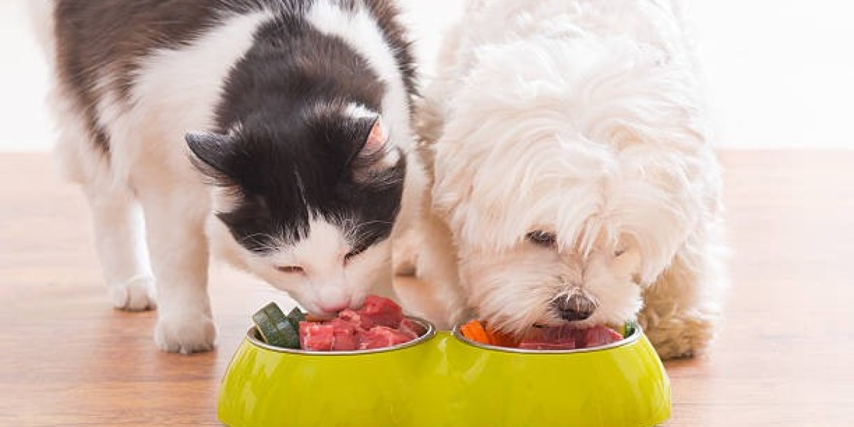 Natural Pet Food Market Outlook: Trends, Drivers, and Regional Insights 2032