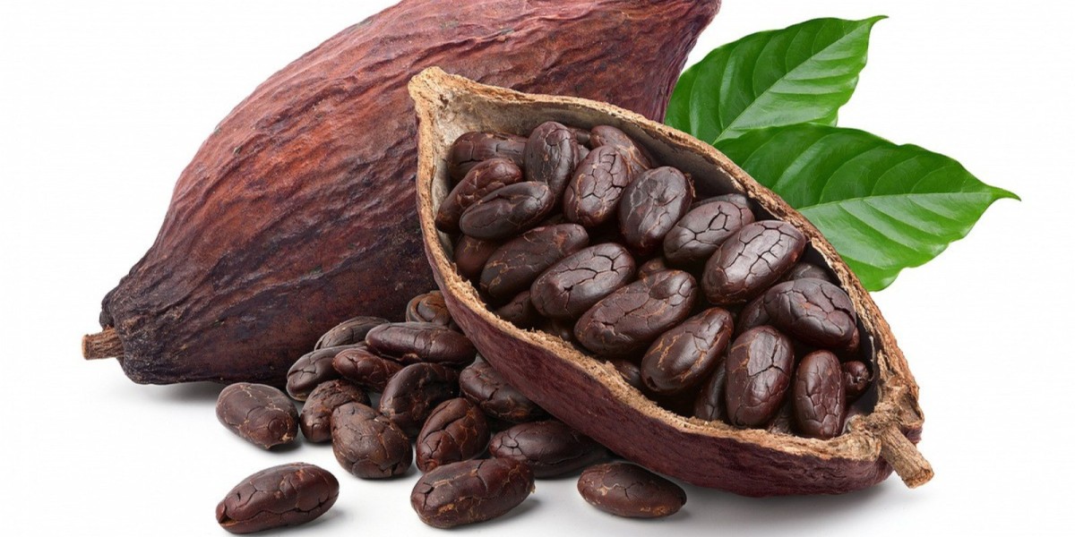 Cocoa Market Outlook: Analysis of Opportunities, Challenges, and Future Developments